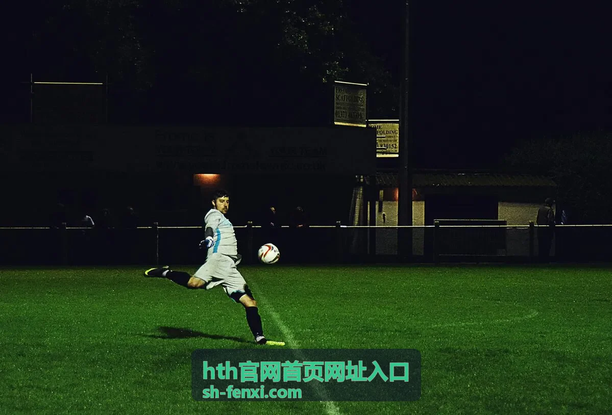 hth官网首页网址入口官网入口指引页面的浅色背景图