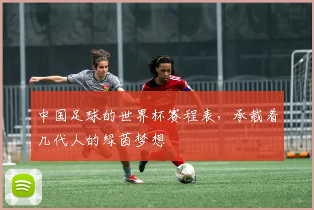 中国足球的世界杯赛程表,承载着几代人的绿茵梦想