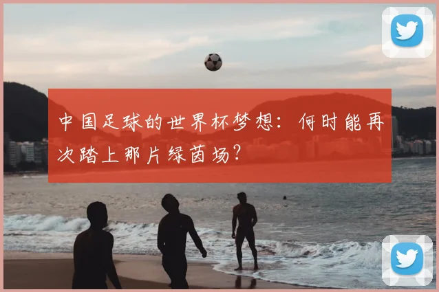 中国足球的世界杯梦想:何时能再次踏上那片绿茵场?