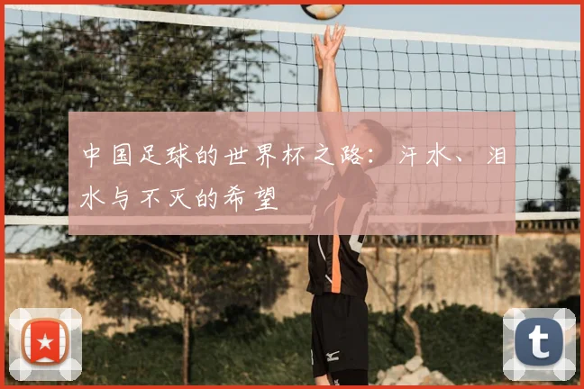中国足球的世界杯之路:汗水、泪水与不灭的希望