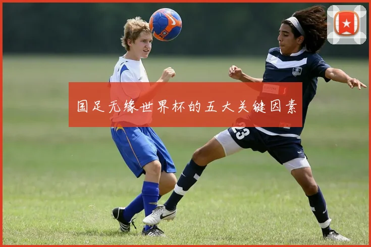 国足无缘世界杯的五大关键因素