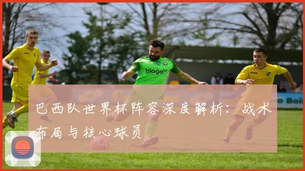 巴西队世界杯阵容深度解析：战术布局与核心球员