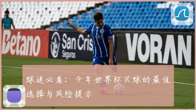 球迷必看：今年世界杯买球的最佳选择与风险提示